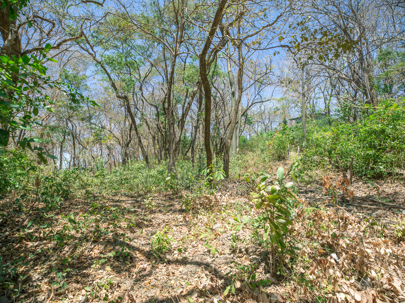 0 bed Land For Sale in Nosara, Guanacaste - hero 6