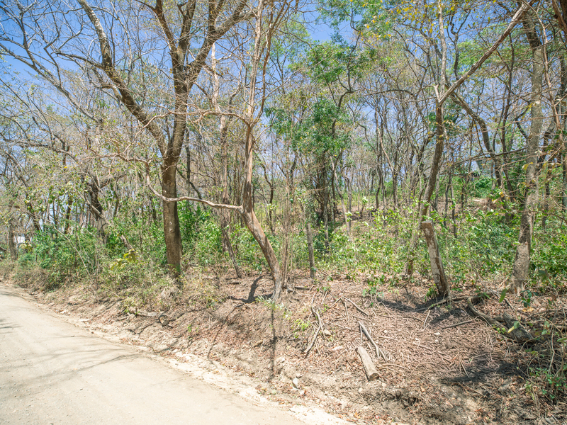 0 bed Land For Sale in Nosara, Guanacaste - hero 4
