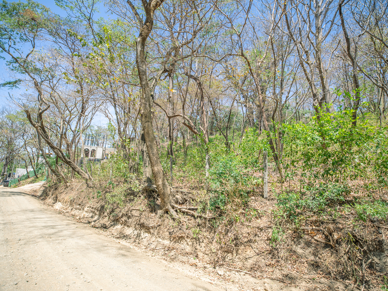 0 bed Land For Sale in Nosara, Guanacaste - hero 2