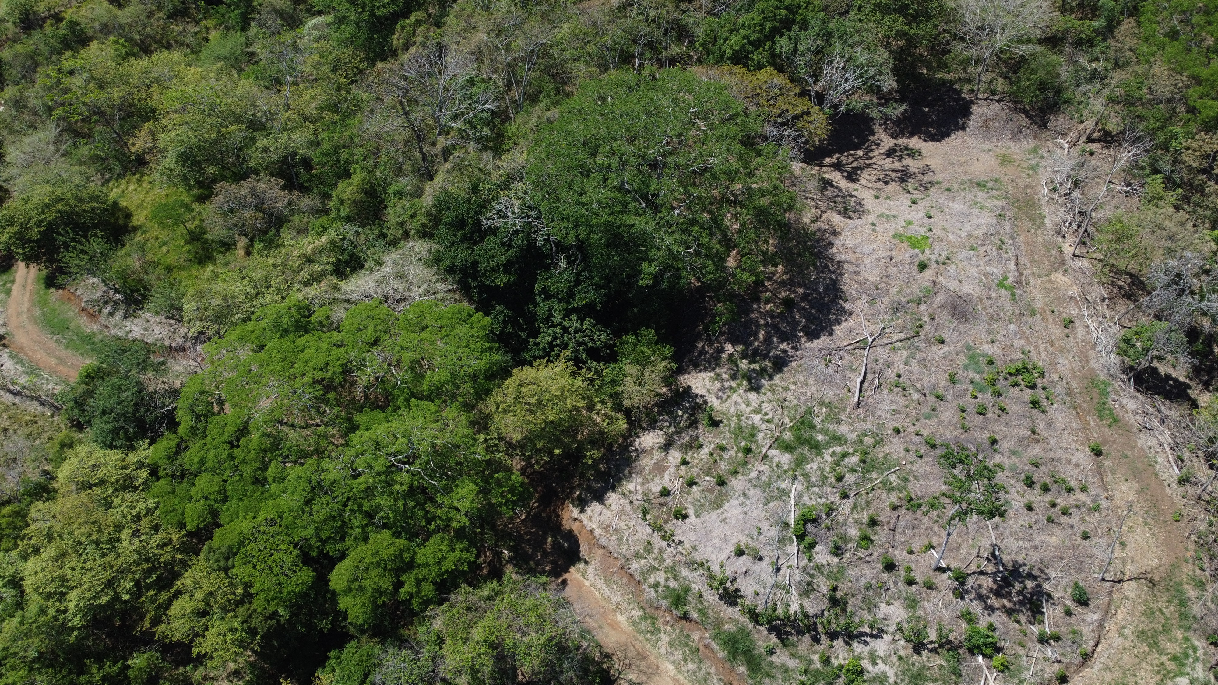 0 bed Land For Sale in Atenas, Alajuela - thumb 4
