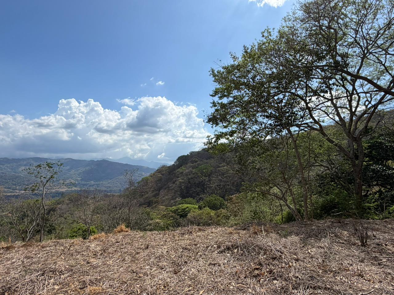 0 bed Land For Sale in Atenas, Alajuela - thumb 1