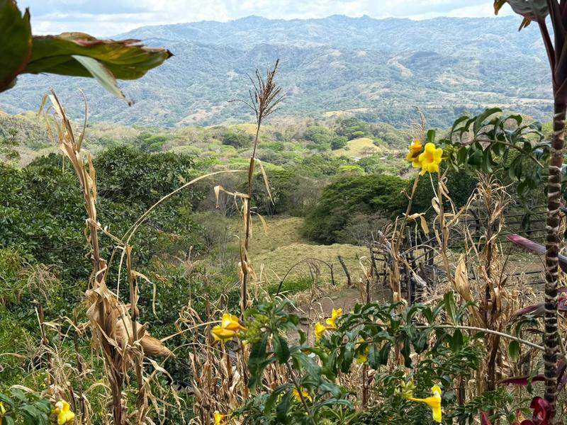 0 bed Land For Sale in Atenas, Alajuela - hero 2