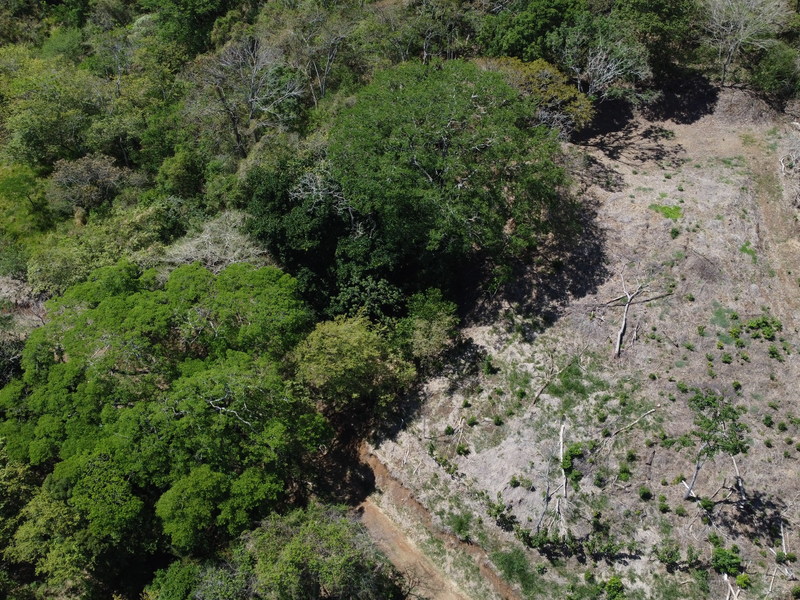 0 bed Land For Sale in Atenas, Alajuela - hero 8
