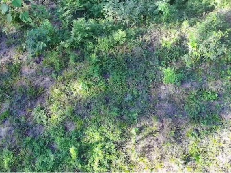 0 bed Land For Sale in Playa San Miguel, Guanacaste - hero 7