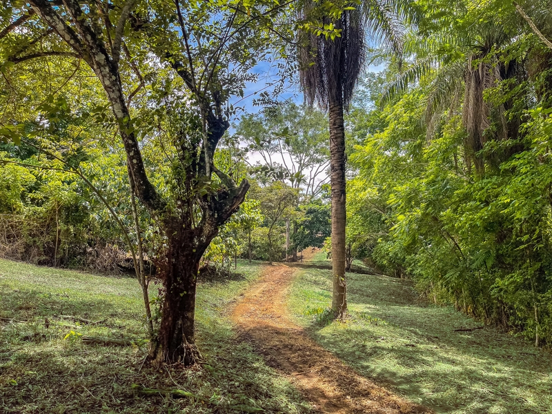 2 bed Single Family Homes For Sale in Delicias, Puntarenas - hero 5