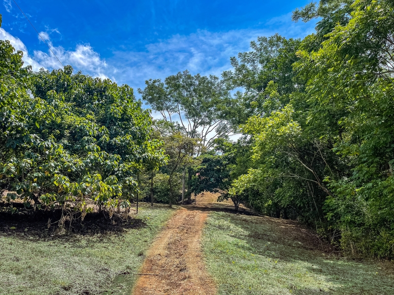 2 bed Single Family Homes For Sale in Delicias, Puntarenas - hero 6