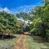  - Private Jungle Home with Expansion Potential Near Montezuma