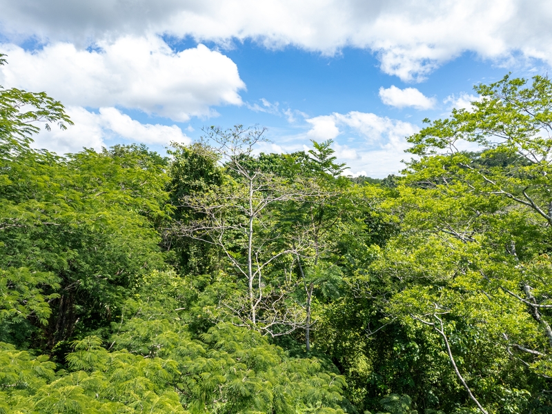 2 bed Single Family Homes For Sale in Delicias, Puntarenas - hero 22