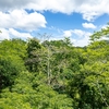  - Private Jungle Home with Expansion Potential Near Montezuma