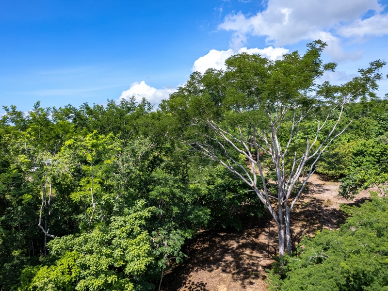 2 bed Single Family Homes For Sale in Delicias, Puntarenas - hero 23