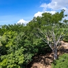  - Private Jungle Home with Expansion Potential Near Montezuma