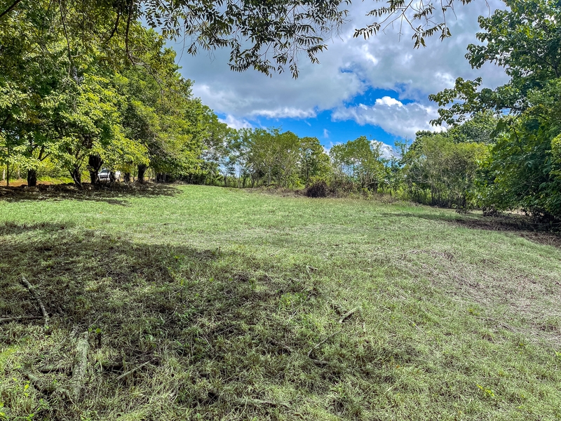 2 bed Single Family Homes For Sale in Delicias, Puntarenas - hero 7