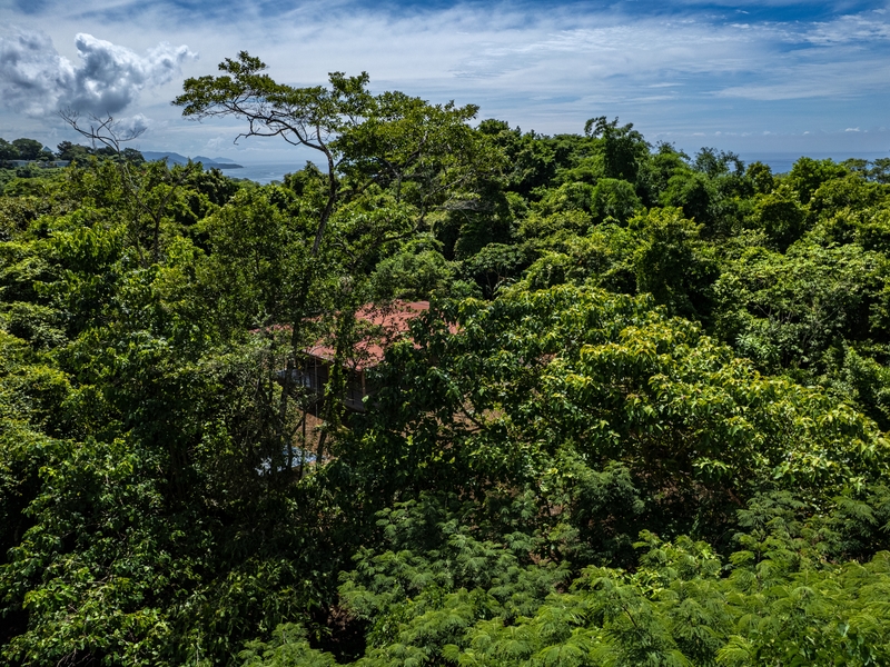 2 bed Single Family Homes For Sale in Delicias, Puntarenas - hero 21