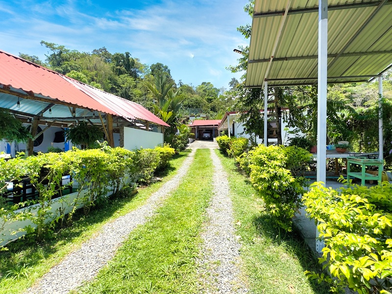 7 bed Single Family Homes For Sale in Cahuita, Limón - hero 5