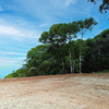  - Escalares Ocean View Build Ready Lot
