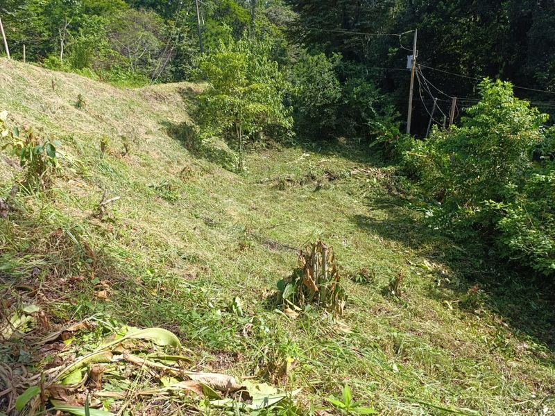 0 bed Land For Sale in Manzanillo Beach, Limón - hero 2