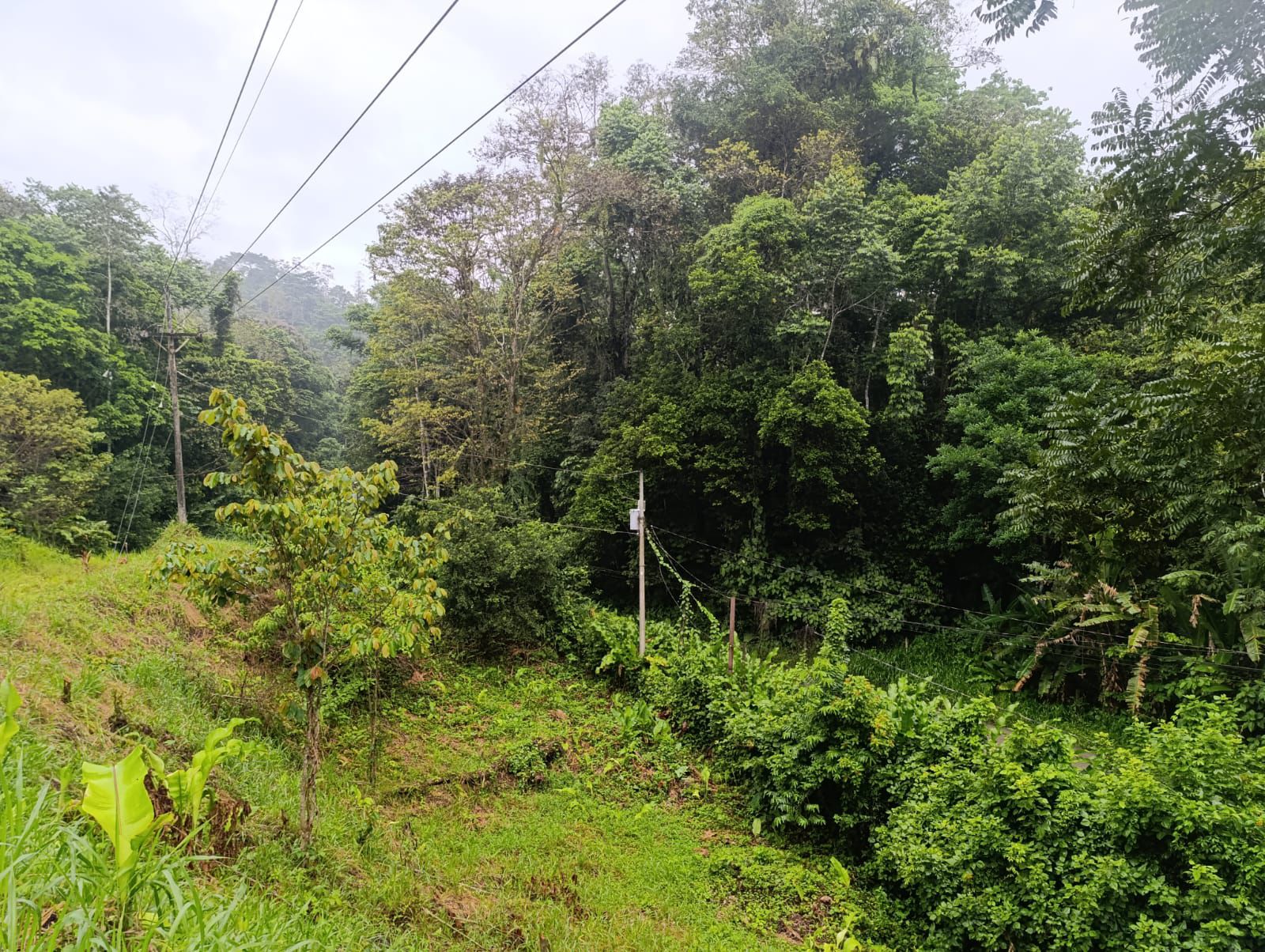 0 bed Land For Sale in Manzanillo Beach, Limón - thumb 1