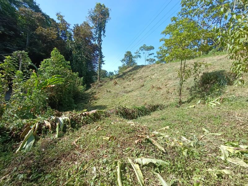 0 bed Land For Sale in Manzanillo Beach, Limón - hero 3