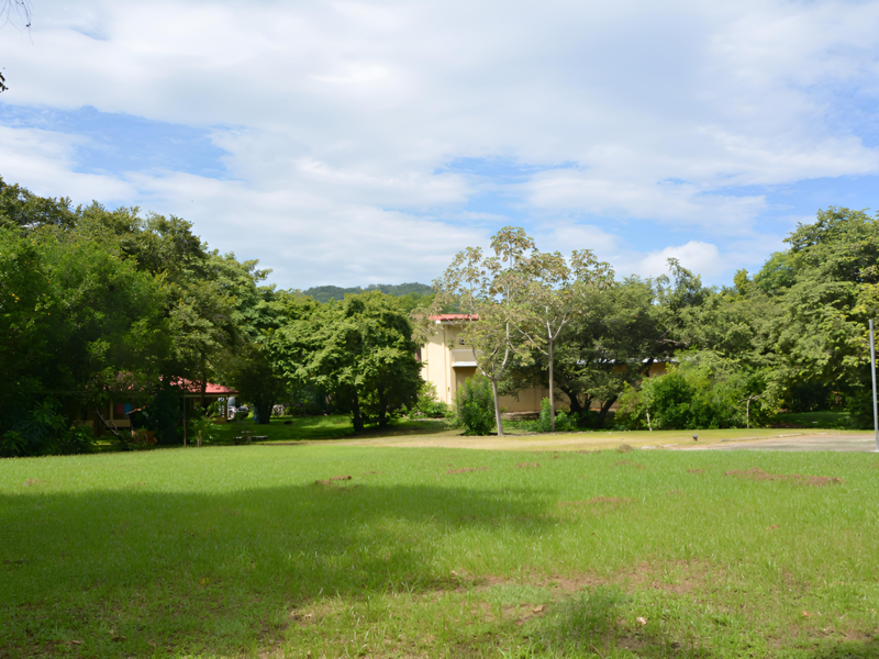 6 bed Office / Retail For Sale in Playas Del Coco, Guanacaste - hero 14