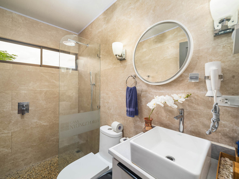 2 bed Single Family Homes For Sale in Tamarindo, Guanacaste - hero 12