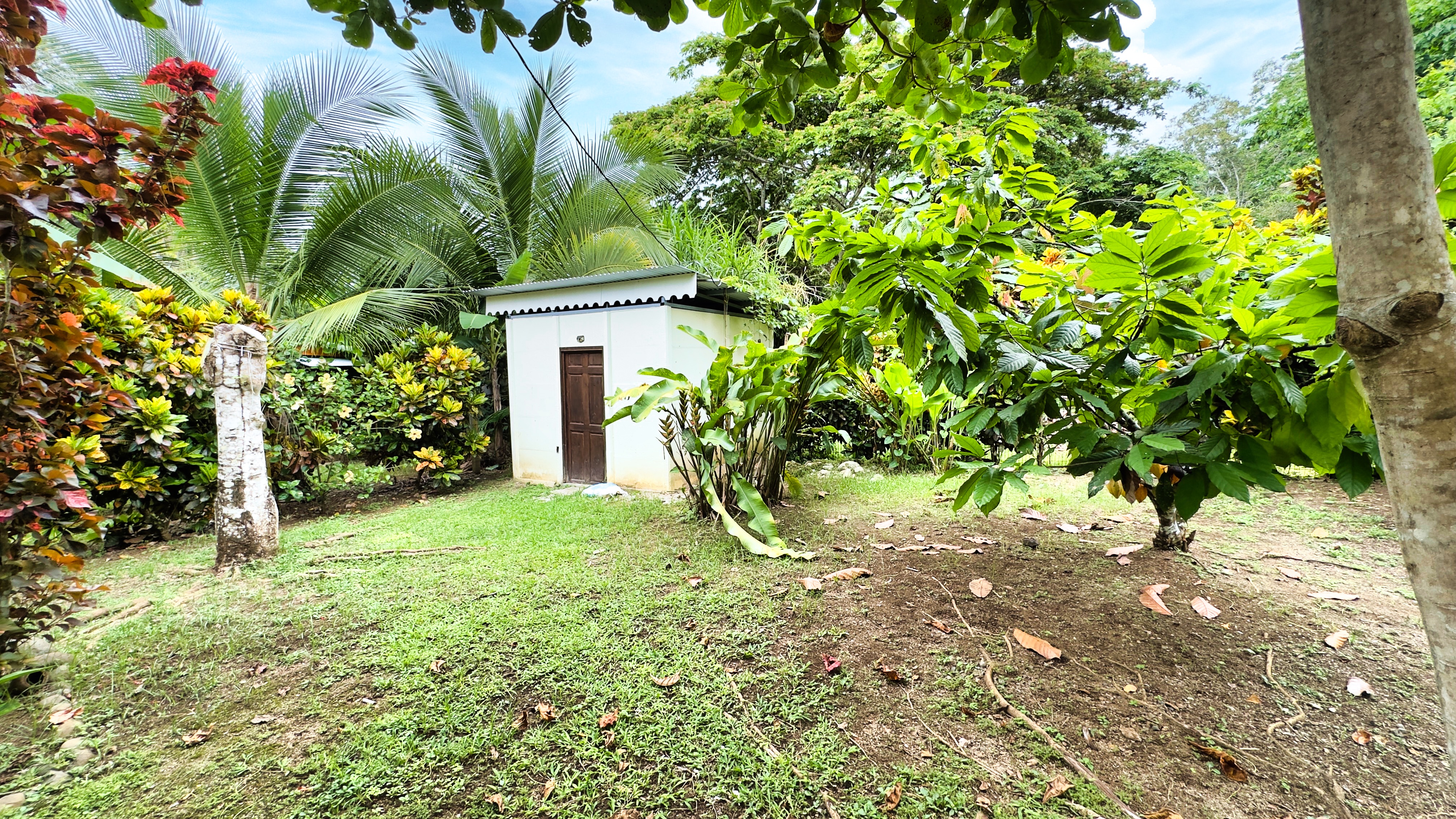 2 bed Single Family Homes For Sale in Cahuita, Limón - thumb 24