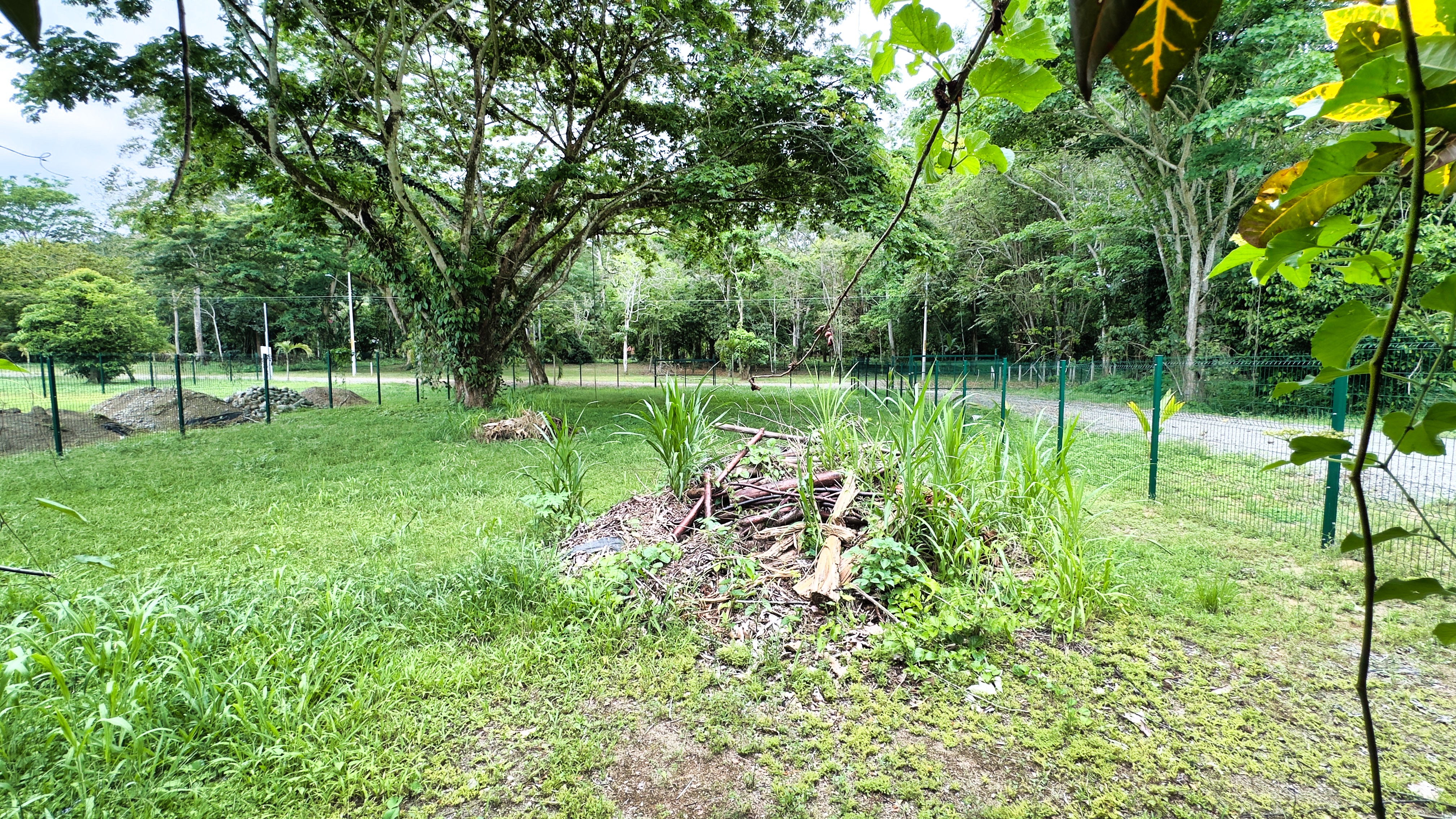 2 bed Single Family Homes For Sale in Cahuita, Limón - thumb 26
