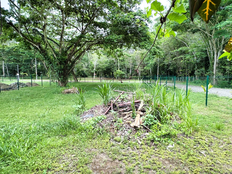 2 bed Single Family Homes For Sale in Cahuita, Limón - hero 26