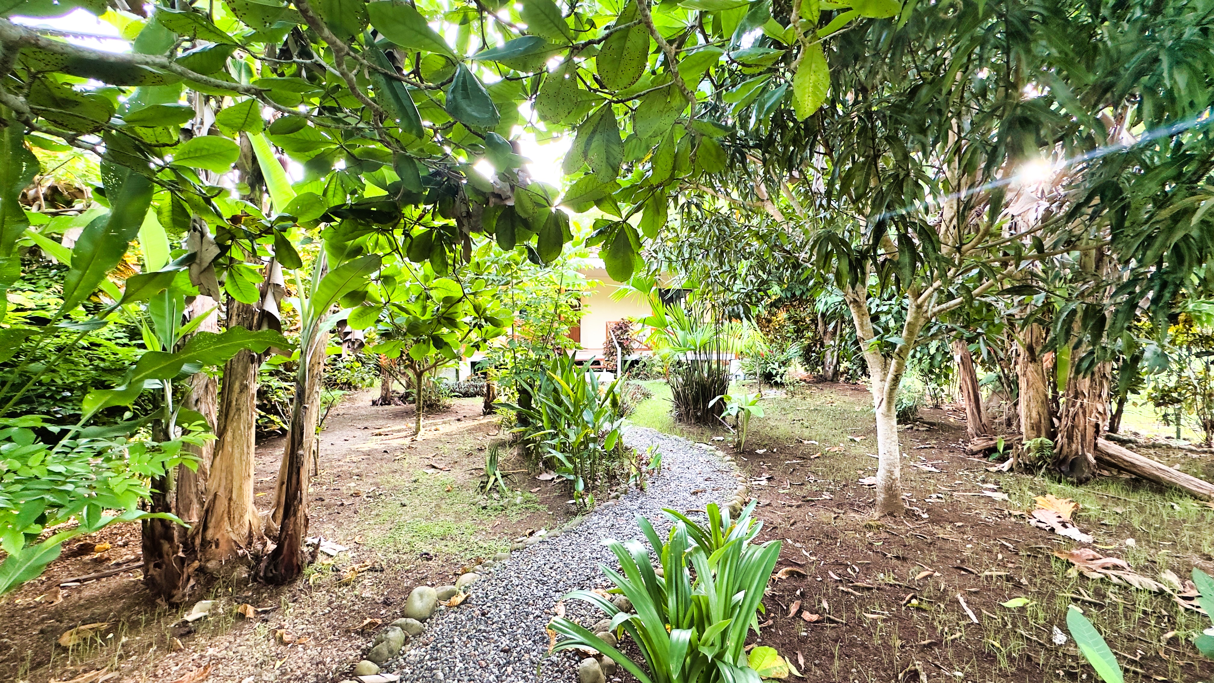 2 bed Single Family Homes For Sale in Cahuita, Limón - thumb 3