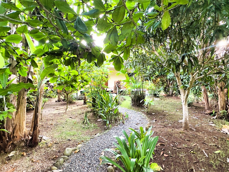 2 bed Single Family Homes For Sale in Cahuita, Limón - hero 3