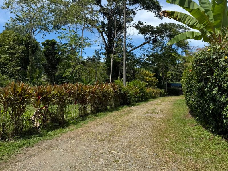 0 bed Land For Sale in Puerto Limon, Limón - hero 2