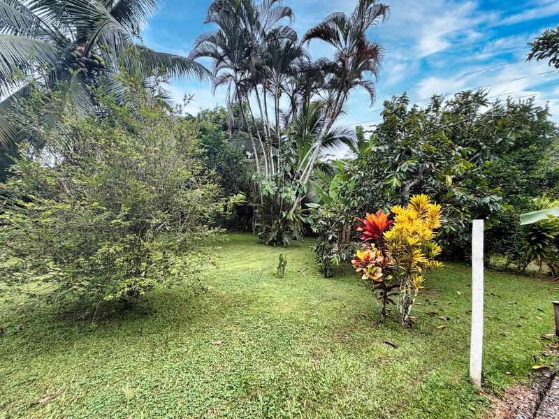 1 bed Single Family Homes For Sale in Cahuita, Limón - hero 6