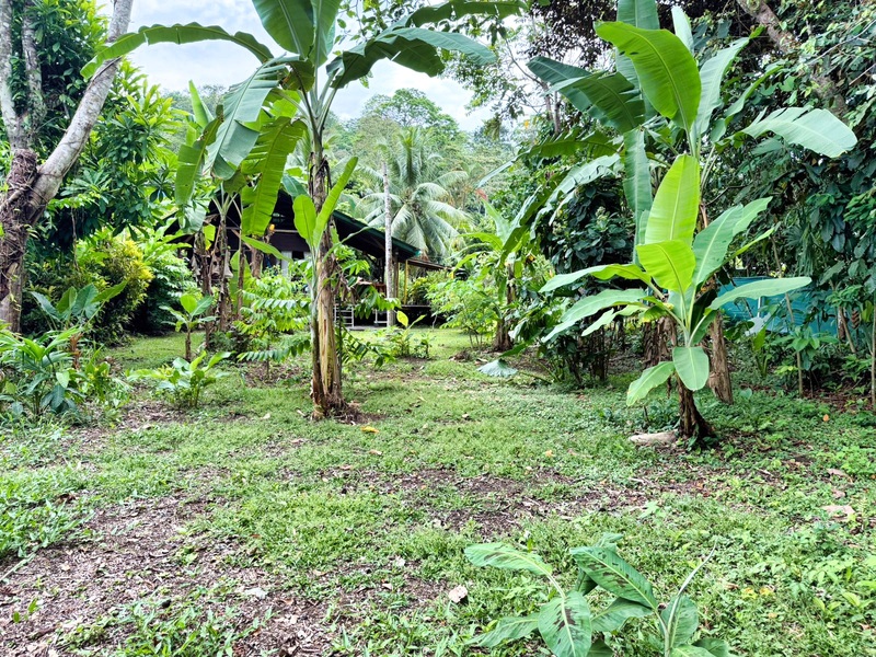 1 bed Single Family Homes For Sale in Cahuita, Limón - hero 9