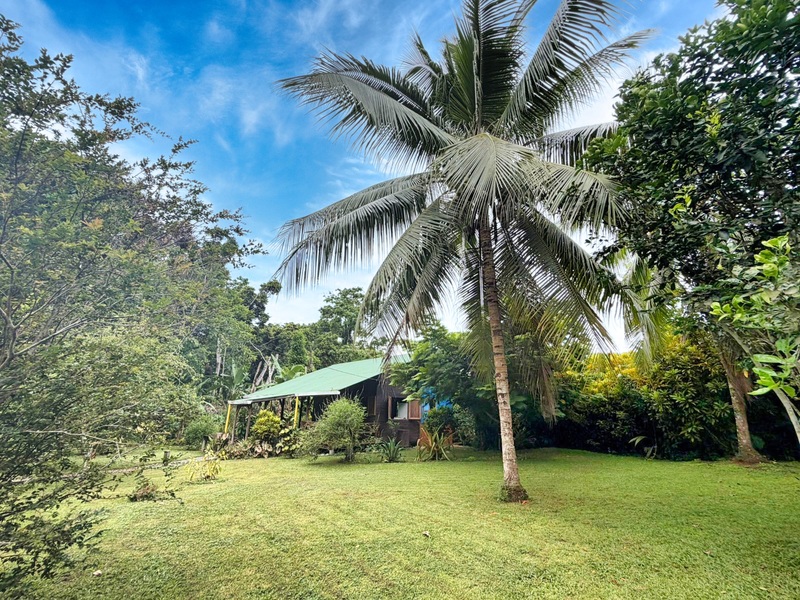1 bed Single Family Homes For Sale in Cahuita, Limón - hero 5