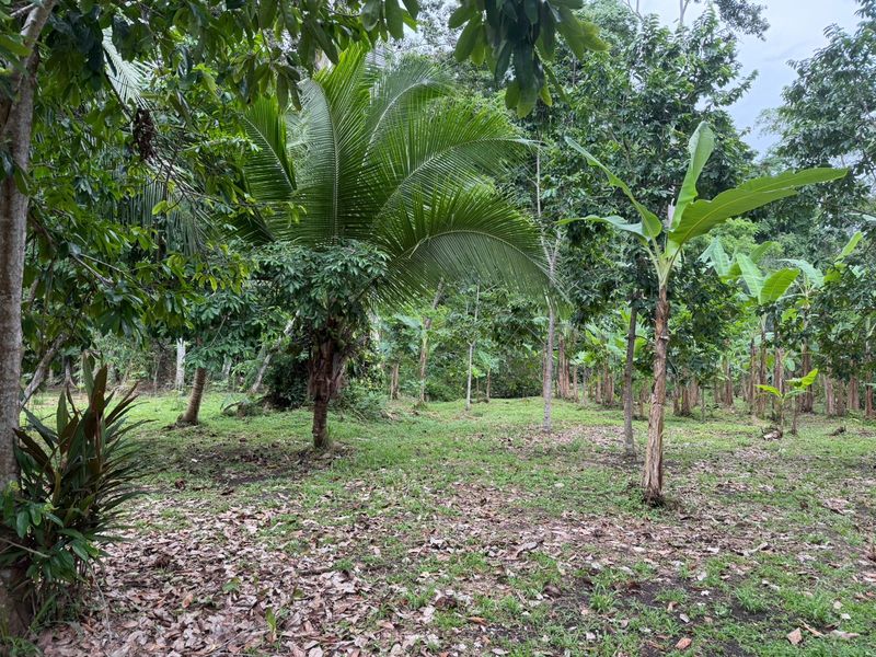 0 bed Land For Sale in Puerto Viejo, Limón - hero 2