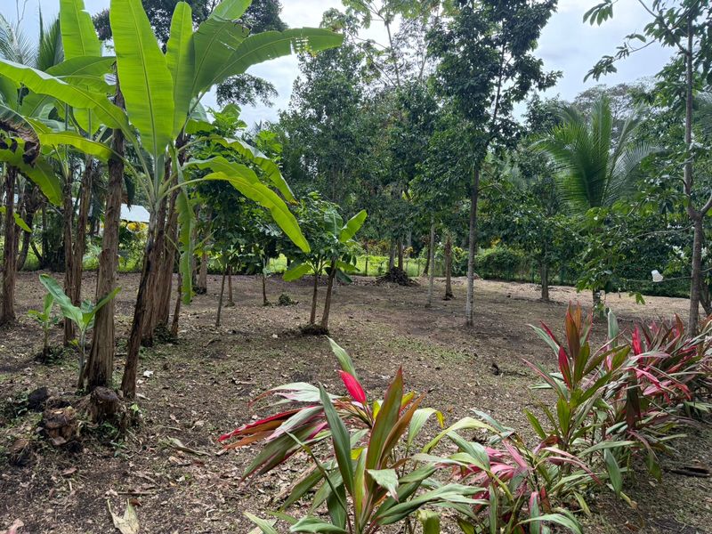 0 bed Land For Sale in Puerto Viejo, Limón - hero 3