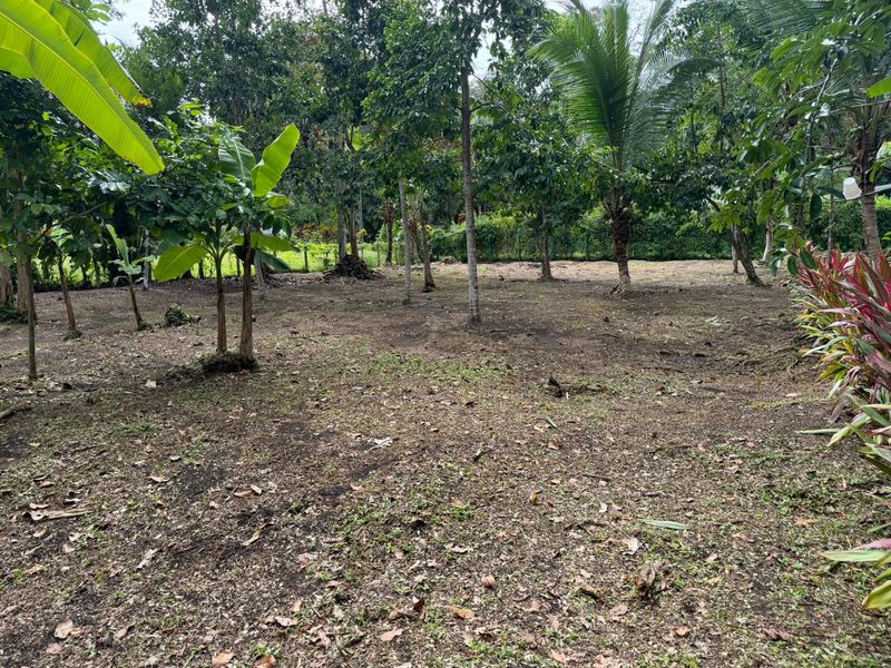 0 bed Land For Sale in Puerto Viejo, Limón - hero 4