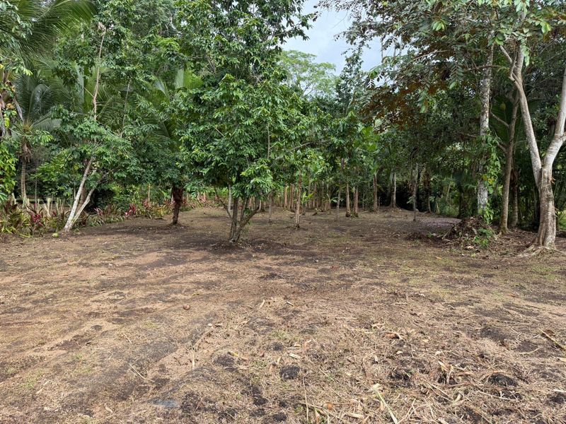 0 bed Land For Sale in Puerto Viejo, Limón - hero 5