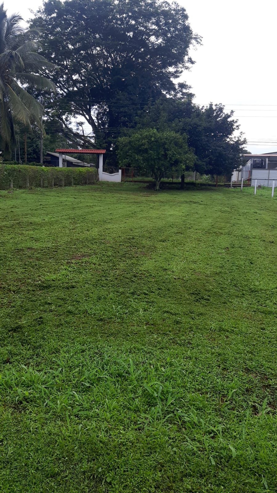 0 bed Land For Sale in Orotina, Alajuela - thumb 4