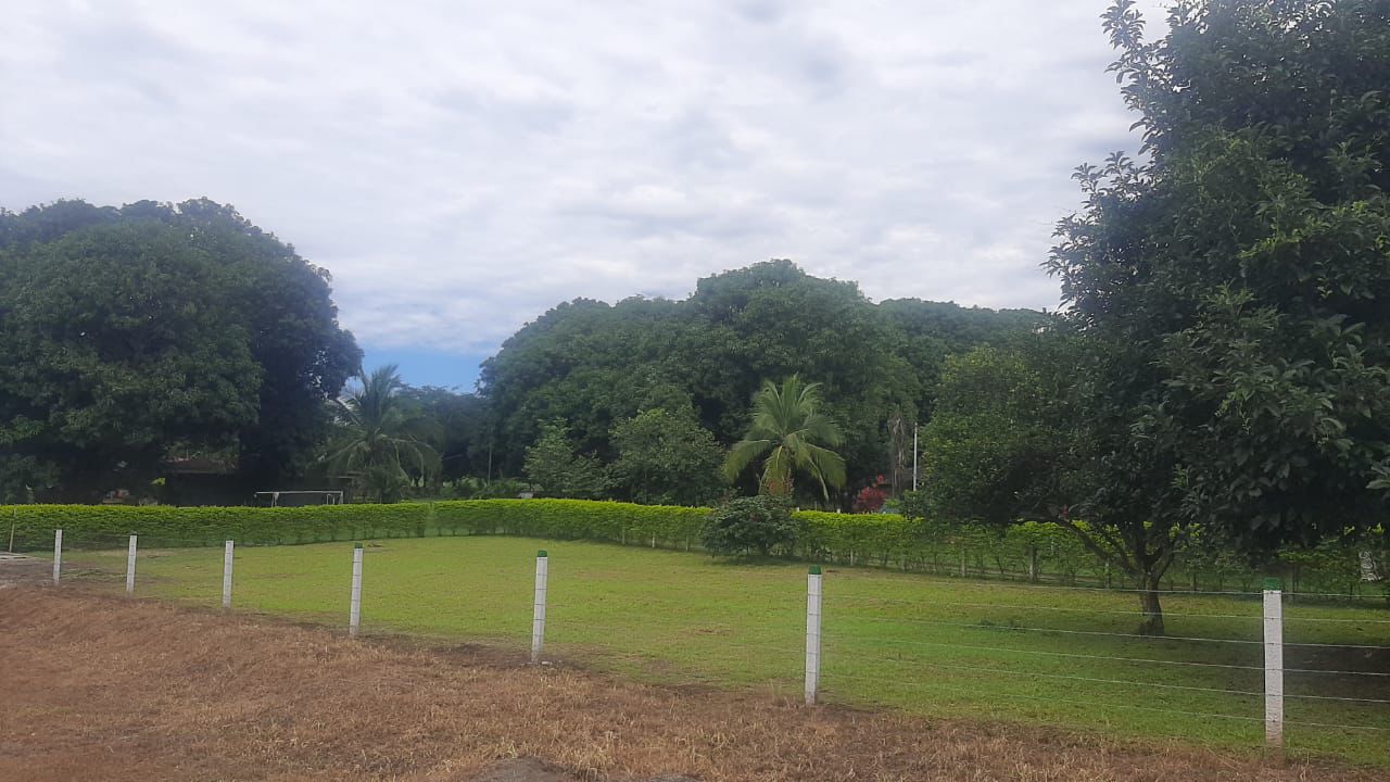 0 bed Land For Sale in Orotina, Alajuela - thumb 1