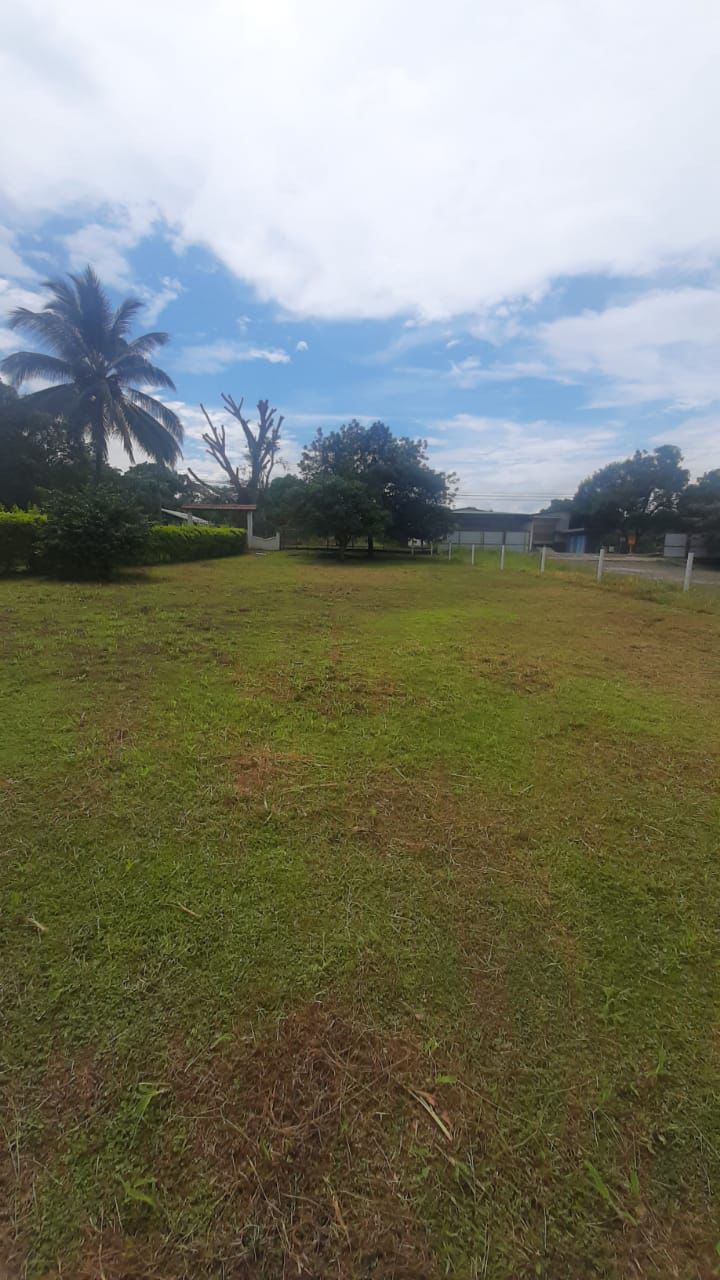 0 bed Land For Sale in Orotina, Alajuela - thumb 5