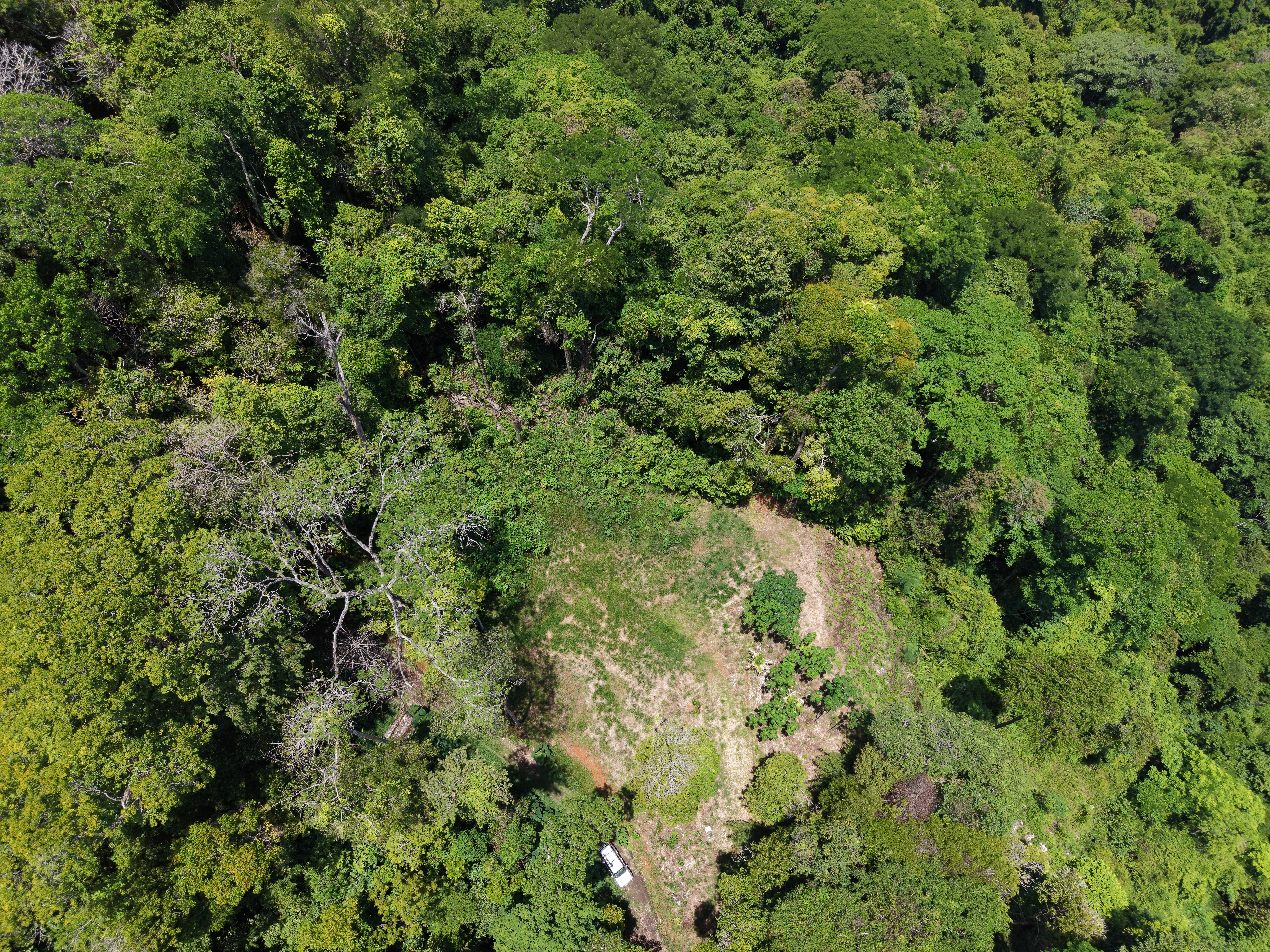 0 bed Land For Sale in Uvita, Puntarenas - thumb 27