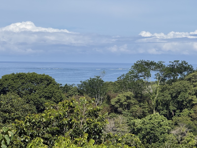 0 bed Land For Sale in Uvita, Puntarenas - hero 12