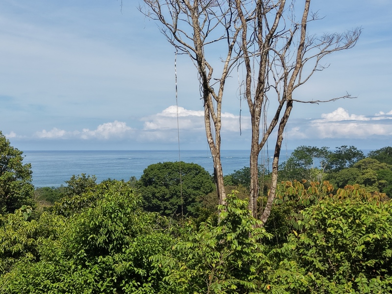 0 bed Land For Sale in Uvita, Puntarenas - hero 16
