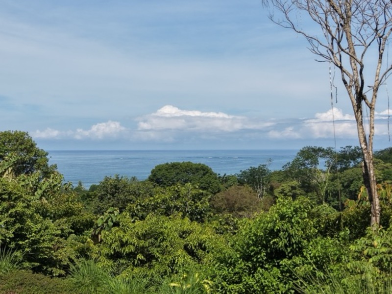 0 bed Land For Sale in Uvita, Puntarenas - hero 24