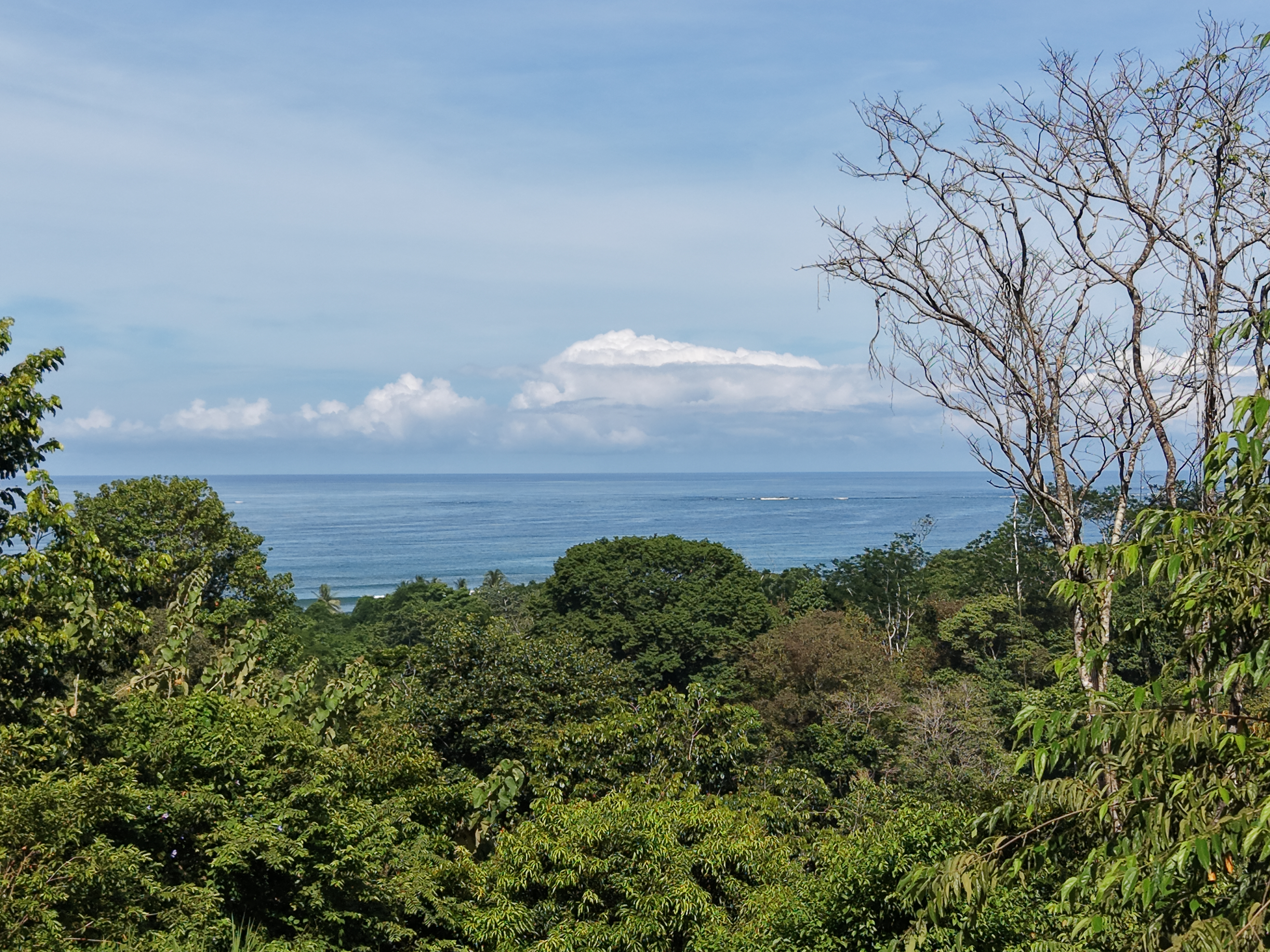 0 bed Land For Sale in Uvita, Puntarenas - thumb 1