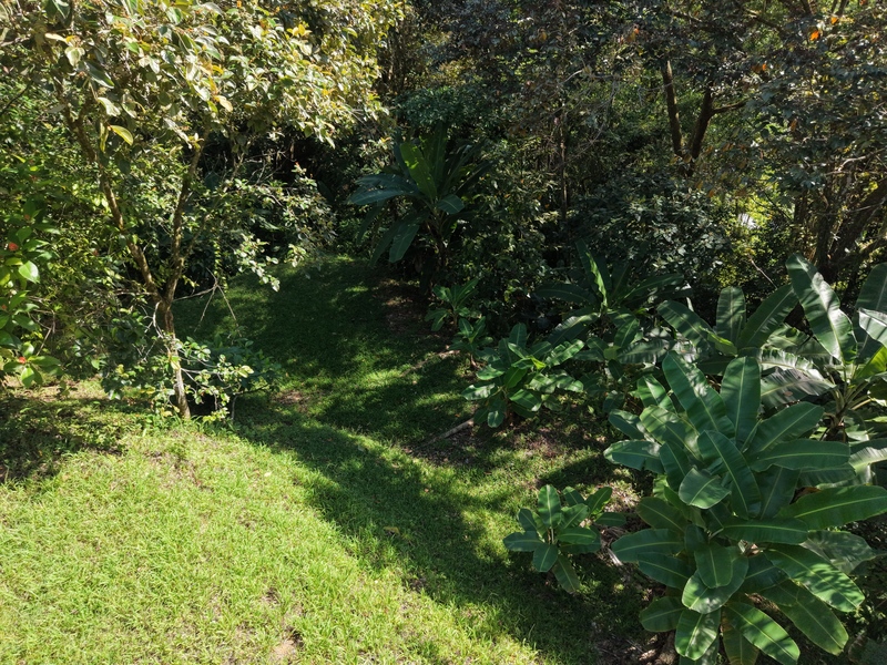 0 bed Land For Sale in Uvita, Puntarenas - hero 19