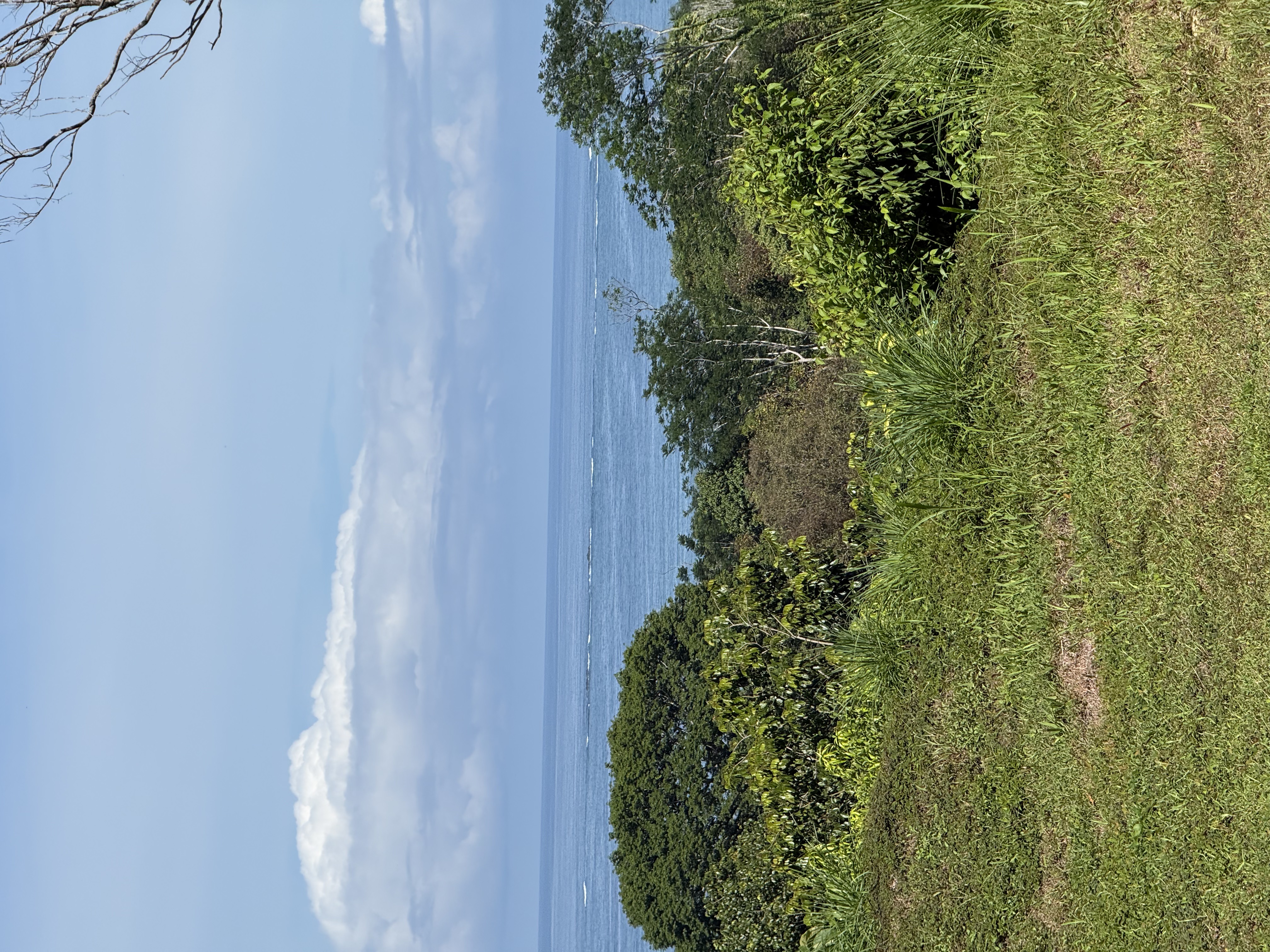 0 bed Land For Sale in Uvita, Puntarenas - thumb 3