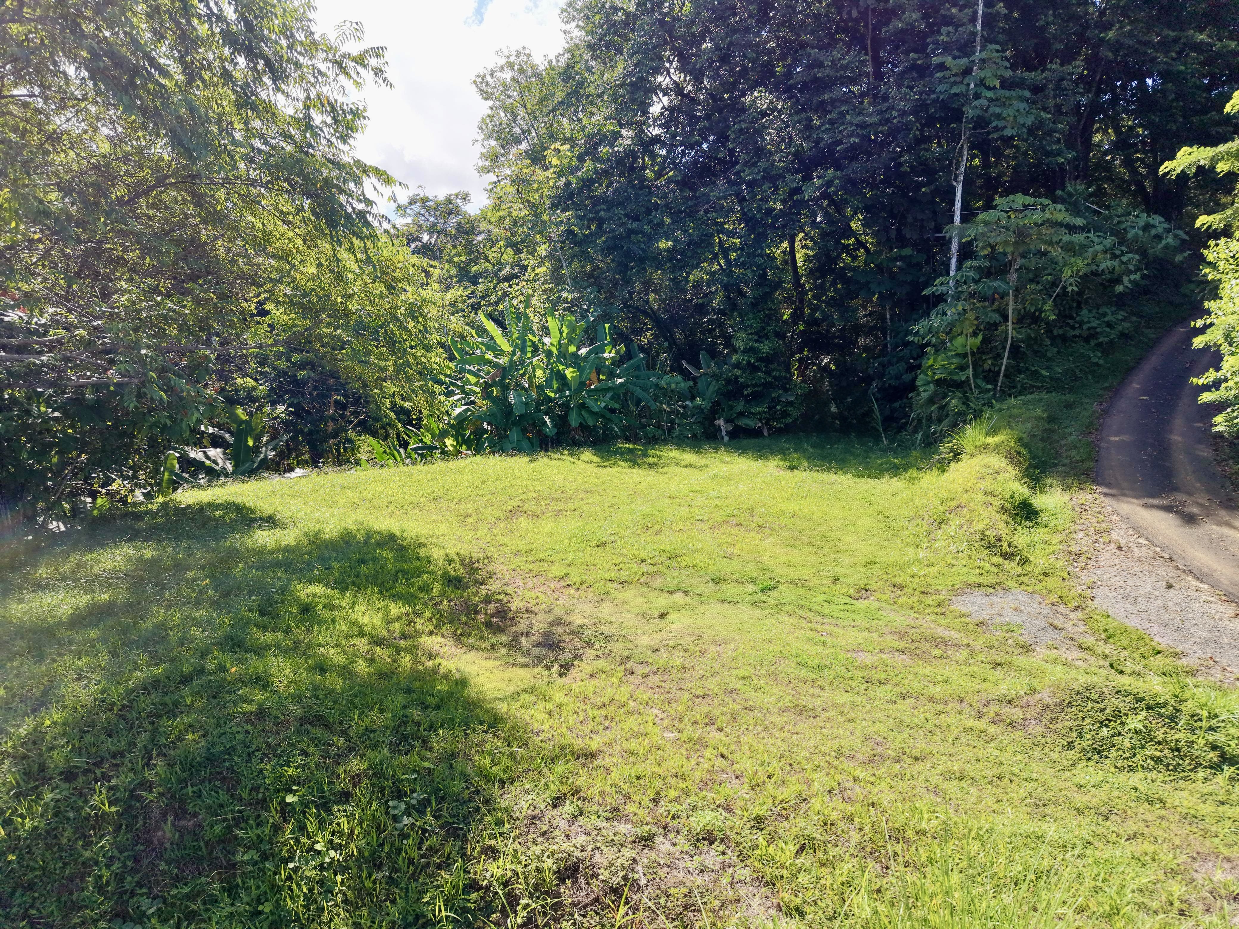 0 bed Land For Sale in Uvita, Puntarenas - thumb 6