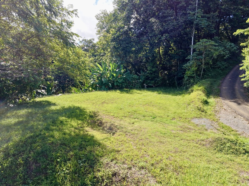 0 bed Land For Sale in Uvita, Puntarenas - hero 6