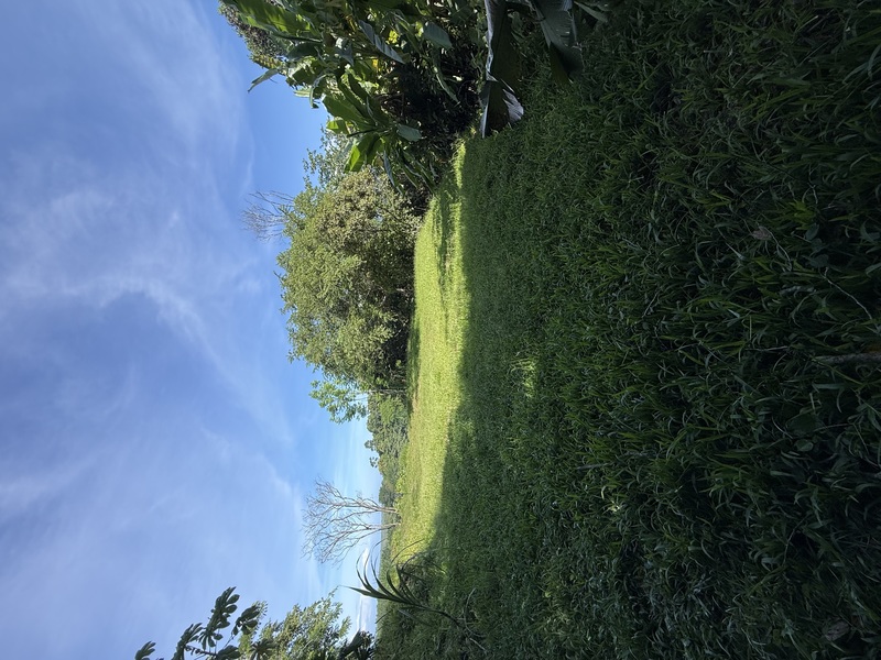0 bed Land For Sale in Uvita, Puntarenas - hero 10